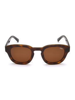 IDEE - Brown Round 100% Uv Protected Sunglasses For Men Size 47