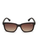 Brown color option, Currently selected
