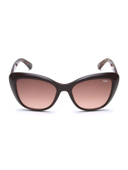 IDEE - Brown Cat Eye 100% Uv Protected Sunglasses For Women Size 55