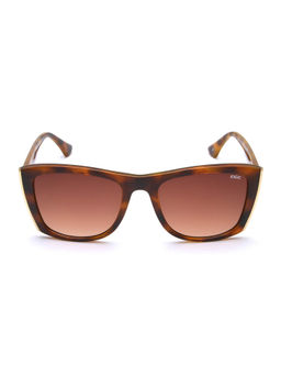 IDEE - Brown Square 100% Uv Protected Sunglasses For Women Size 55