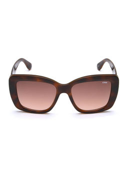 IDEE - Brown Square 100% Uv Protected Sunglasses For Women Size 55
