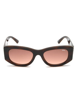 IDEE - Brown Oval 100% Uv Protected Sunglasses For Women Size 53