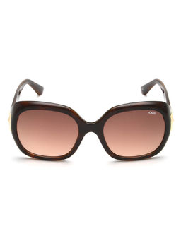 IDEE - Brown Square 100% Uv Protected Sunglasses For Women Size 56