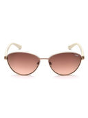 Brown color option, Sold out