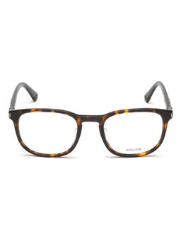 Police - Eyewear For Men With Havana Acetate Frame (Size 50)