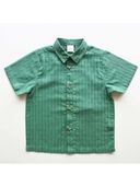 Green color option, Currently selected