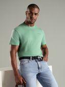 Green color option, Currently selected