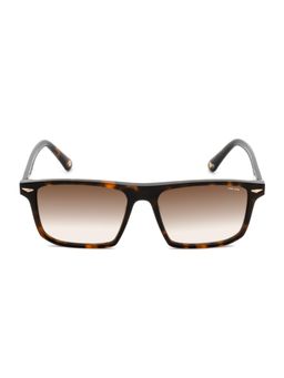Police - Men Full Rim Acetate Square Brown Lens Sunglasses (55)