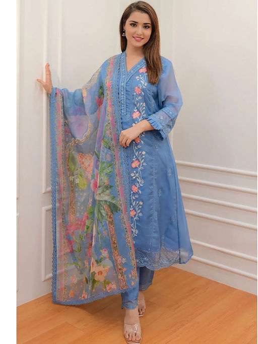 Organza Kurta