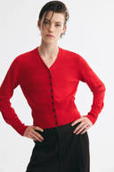 Red color option, Currently selected