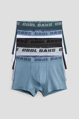 H&M - Boys Blue 5-Pack Cotton Trunks