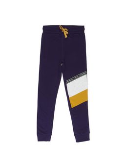 Alan Jones - Cotton Knit Joggers - Indigo