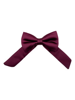 The Tie Hub - Purple Bolo Bow Tie
