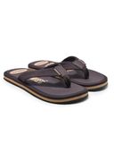 Brown 1