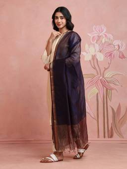 Fabindia - Blue Cotton Silk Blend Maheshwari Dupatta