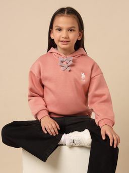 U.S. POLO ASSN. - Brown Solid Hoodie