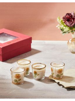 Fabindia - Clear Noor Wax Containers (Pack of 4)