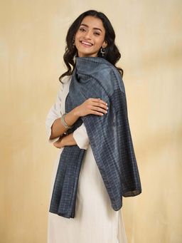 Fabindia - Grey Silk Tie & Dye Stole
