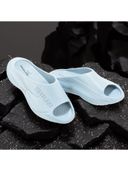 Blue color option, Currently selected