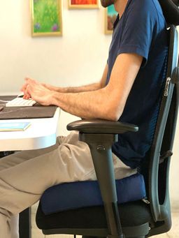 The White Willow - 18x18 Square Seat Cushion-Blue (Pack of 2)