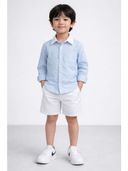 Blue color option, Currently selected