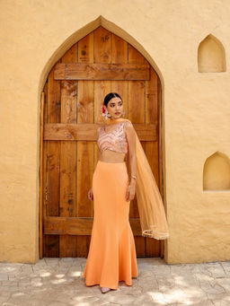 Qissa - Peach Sequined Crop Top Skirt With Dupatta