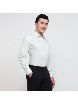 Park Avenue - Mens Slim Fit Stripes Light Green Shirt