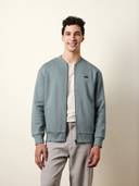 Teal color option