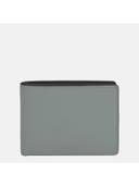 Grey color option, Currently selected