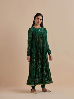 Ikshita Choudhary - Green Printed Chanderi Anarkali With Churidar (Set of 2)
