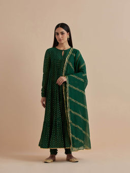 Ikshita Choudhary - Green Printed Chanderi Anarkali With Churidar And Dupatta (Set of 3)