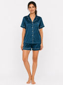 Teal color option, Currently selected