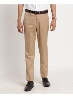 Turtle - Men Cotton Blend Slim Fit Dark Beige Printed Formal Trouser