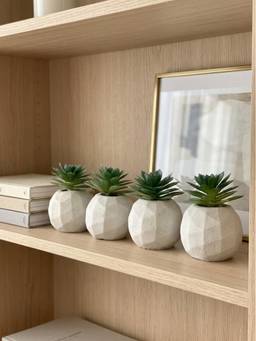 Mason Home - Beige Artificial Beige Succulent (Pack of 4)