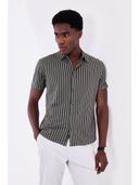 Olive color option
