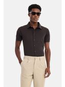 Wine color option, Currently selected