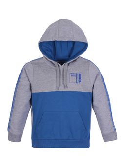 PLUM TREE - Multi-Color Cotton Full Sleeves Regular Hoodie