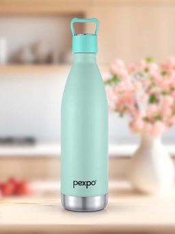 Pexpo - Erica Sea Green Vacuum Insulated Hot & Cold Flask