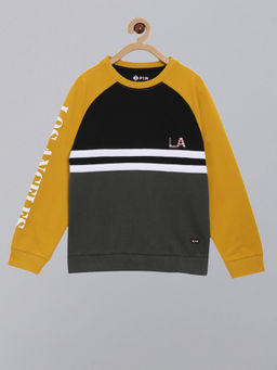 3PIN - Boys Round Neck Multi-Color Cotton Sweatshirt