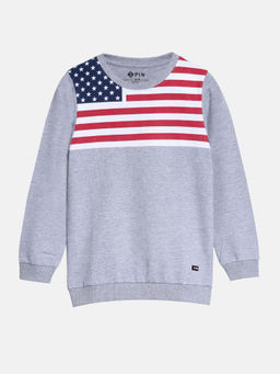 3PIN - Boys Round Neck Grey Cotton Sweatshirt