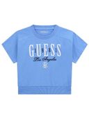 Blue color option, Currently selected