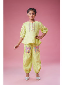 MASTARANG - Green Ethnic Embroidered Three Quarter Sleeves Co-Ord (Set of 2)