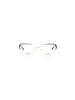 Ana Hickmann - Women Eyewear Green Stainless Steel Frame (AH154712AFR) (56)