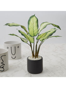 HomeTown - Ilana Faux Dieffenbachia Ceramic Potted Plant 42 Cm in Green Colour