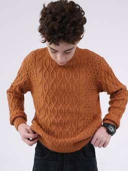 Monte Carlo - Boys Round Neck Full Sleeve Pullover - Rust