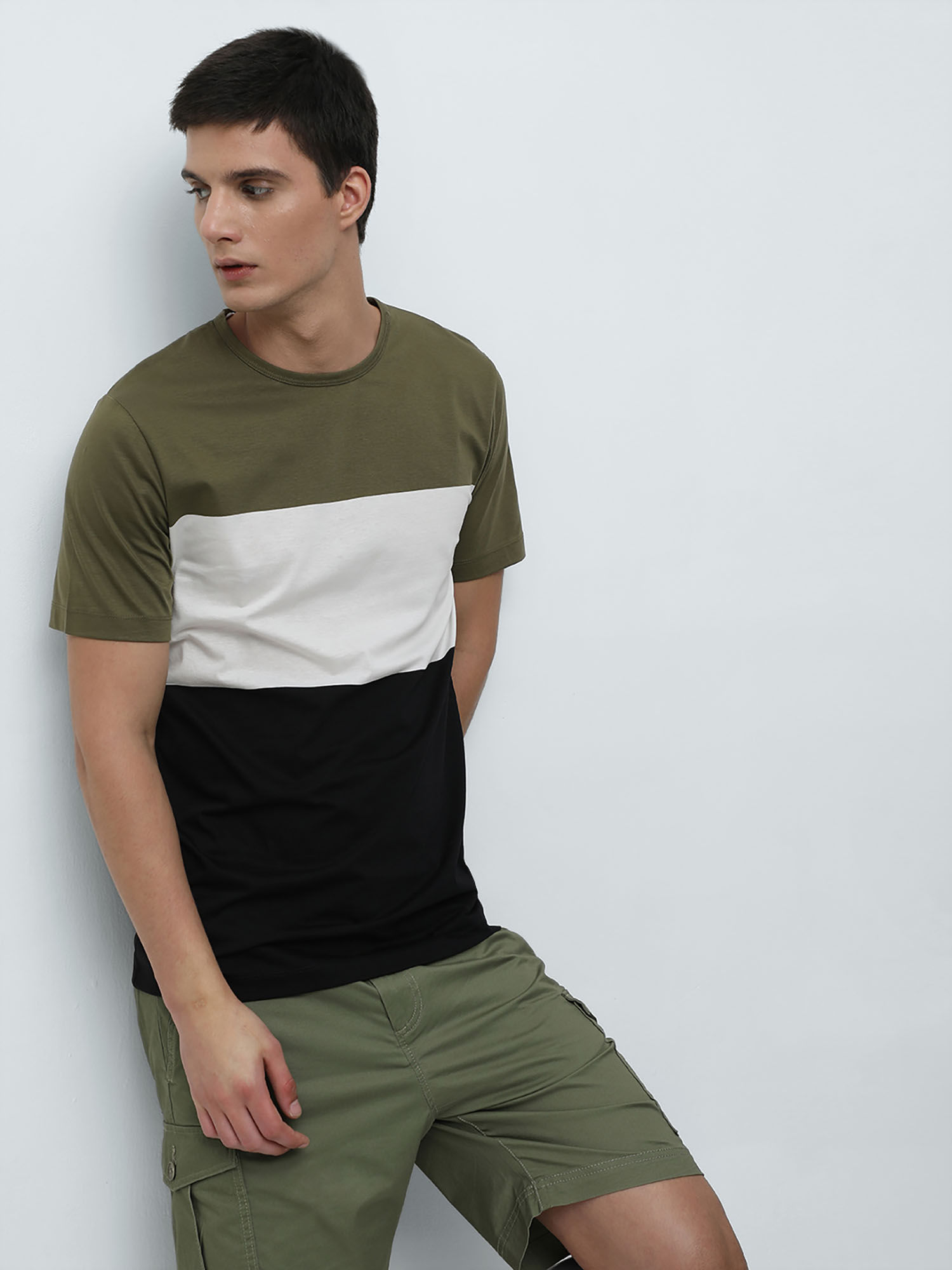 Buy Selected Green Colour Blocked Crew Neck T-Shirt Online