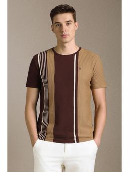 Louis Philippe - Men Brown Colorblock Crew Neck T-Shirt