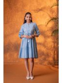 Blue color option, Currently selected