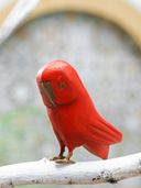Red color option