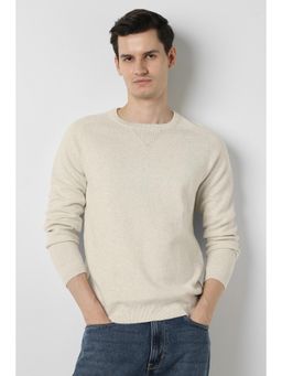 Peter England - Beige Textured Pure Cotton Regular Fit Sweater